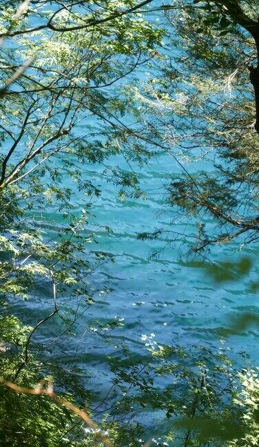 川西湖面素材 清澈湖水 波光粼粼 蓝色湖