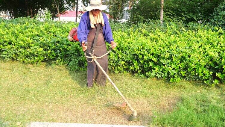 环卫工 除草 绿化 杂草 草地 环卫工人