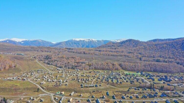 航拍新疆禾木村景区秋色雪山白桦林