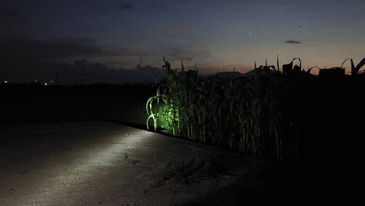 夜幕降临夜晚路灯农村村庄傍晚宁静生活剪影