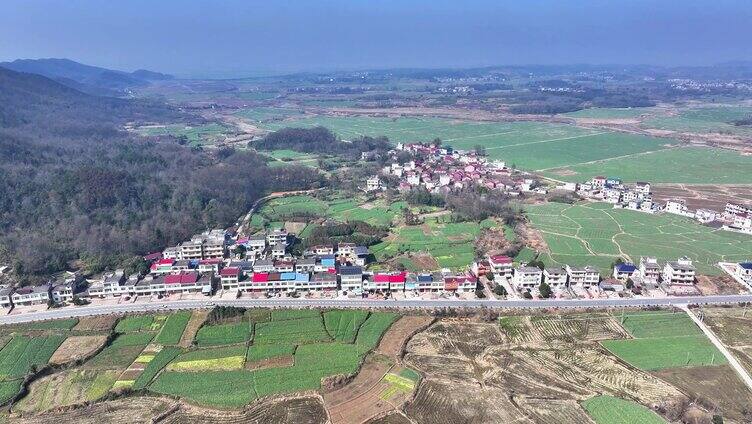 田园乡村春天播种农地