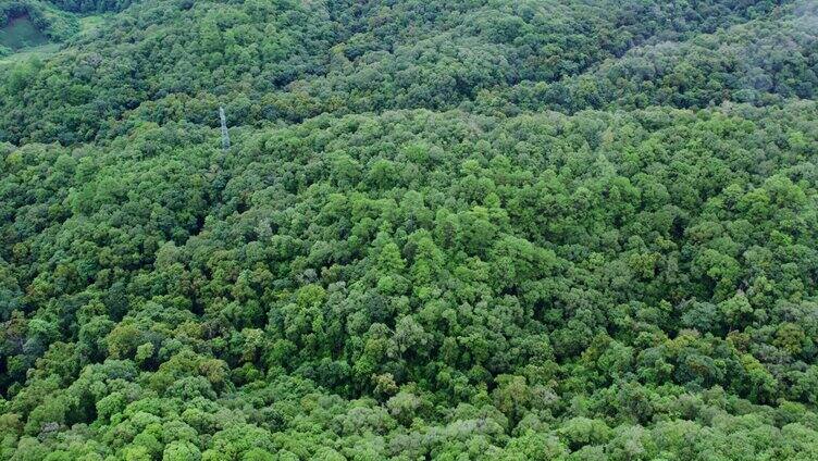 4k原创云雾航拍山川云海大气风景视频素材