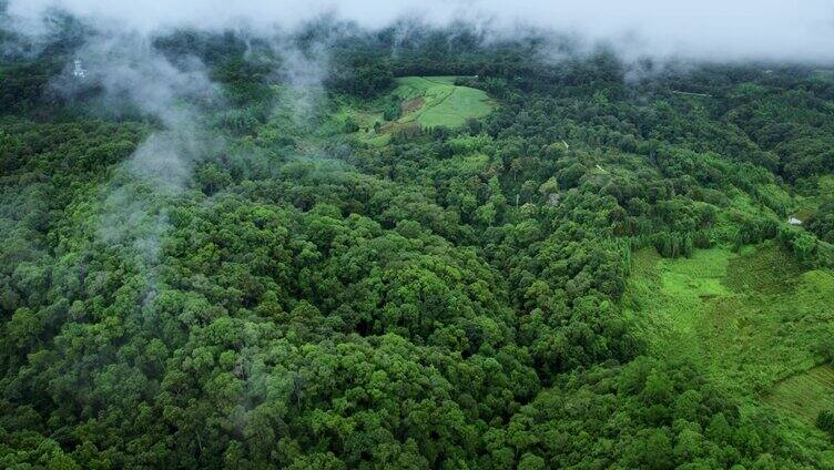 4k原创云雾航拍山川云海大气风景视频素材