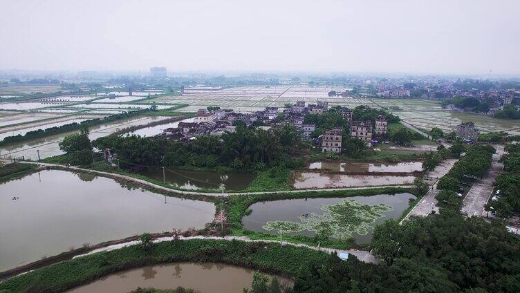 广东省江门市开平市自力村碉楼航拍4K