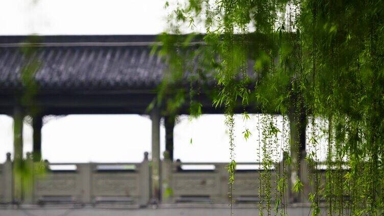 清明 谷雨 春雨 细雨