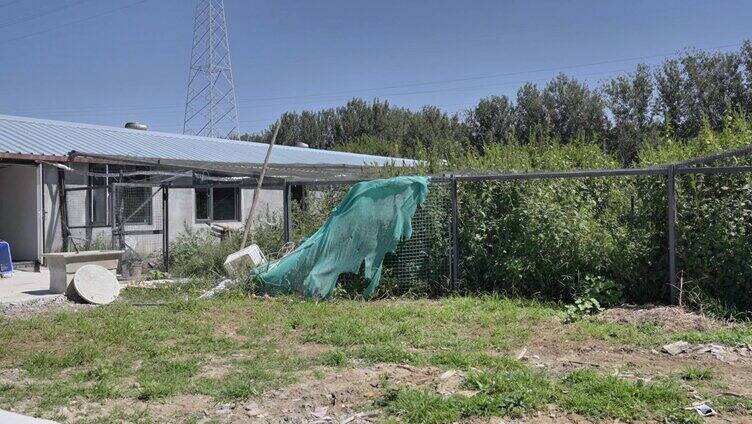 农家小院农植物大棚种植 -声音