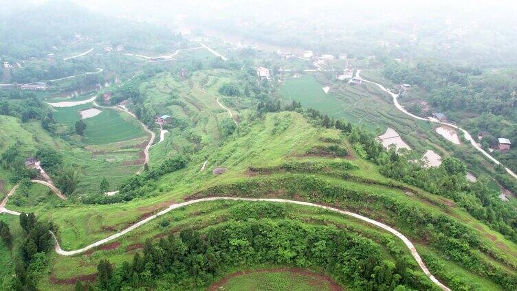 艾草素材合集