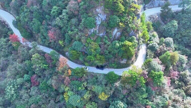 盘山公路行驶的各种车辆