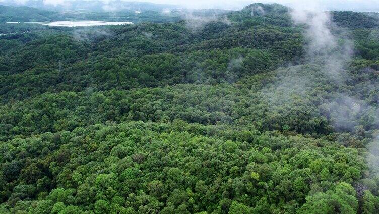 4k原创云雾航拍山川云海大气风景视频素材