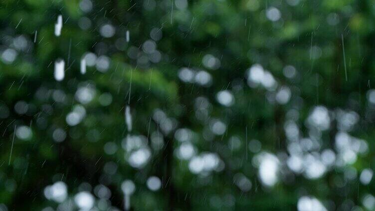 暴雨中绿色树叶背景下雨丝雨线雨滴特写慢镜