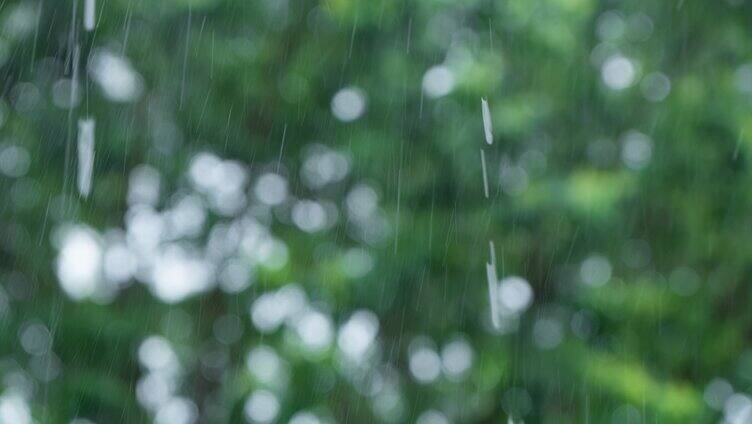 暴雨中绿色树叶背景下雨丝雨线雨滴特写慢镜