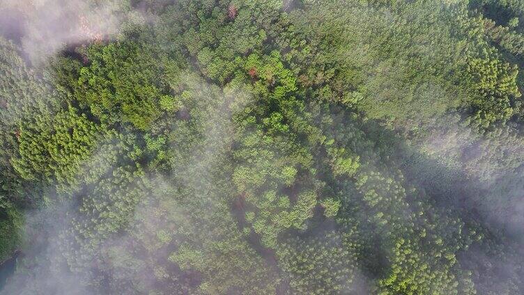 4k穿云日出清晨森林河湖云海大美山川航拍