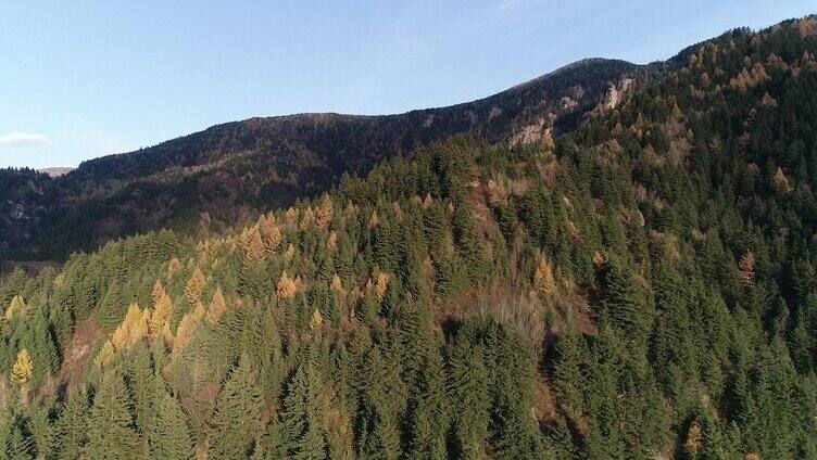 秋天的气息 秋天风景 大山 