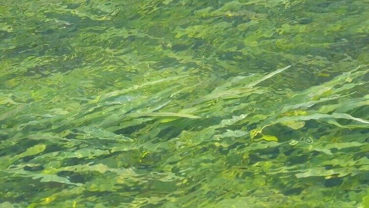 水流合集 水流过草地 流动的水 溪流 