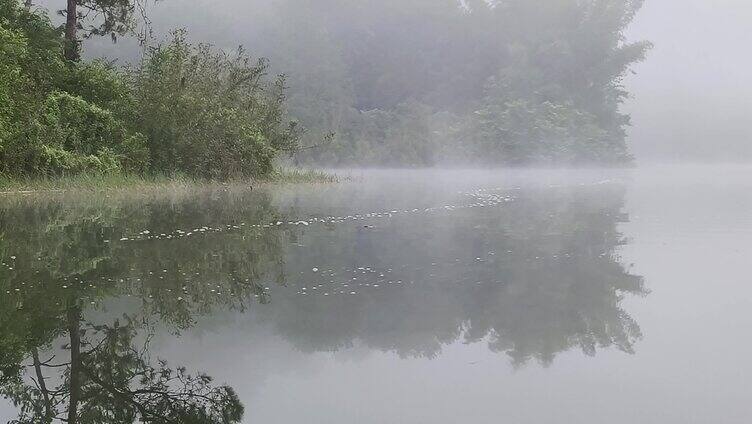 雾锁湖水仙景 水面蒸汽烟雾缭绕 烟雾缭绕