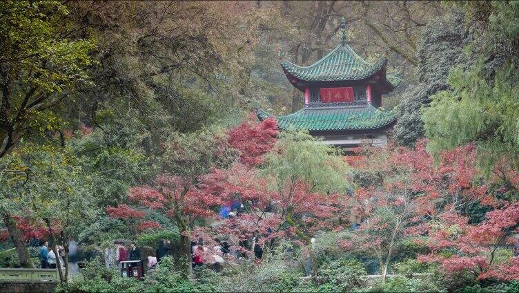 长沙爱晚亭城市地标大范围移动延时摄影