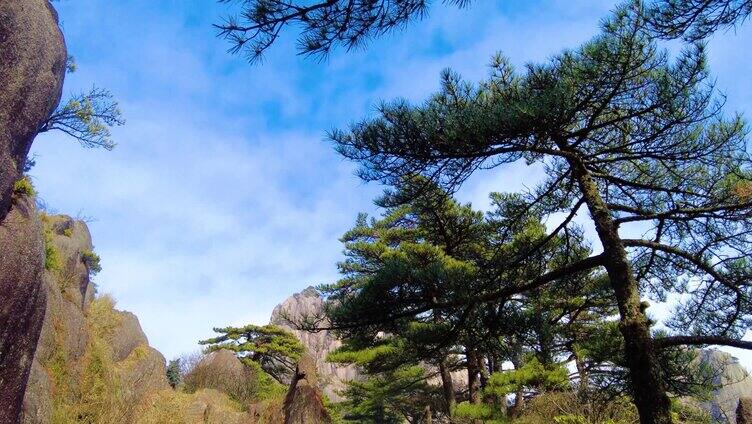 黄山风景区壮观云海延时风景视频素材9