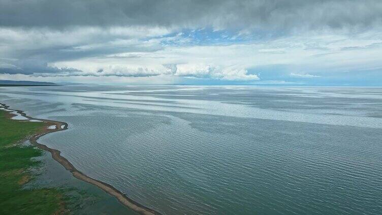 青海湖周边生态草场