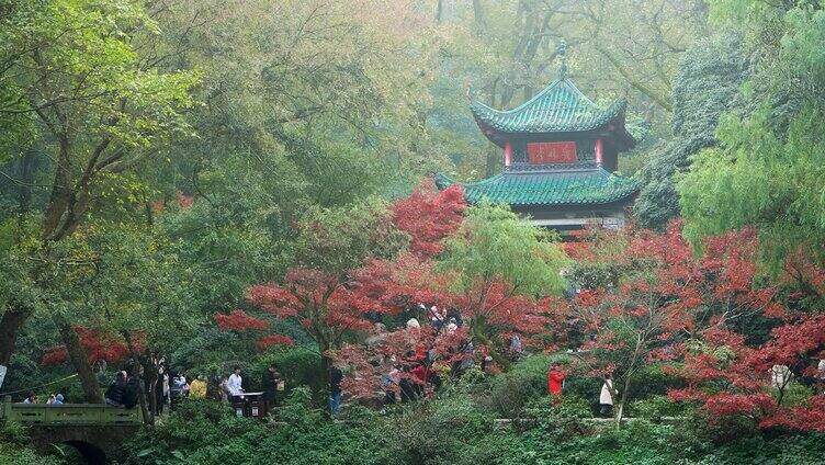 湖南长沙岳麓山爱晚亭秋景枫叶实拍空境