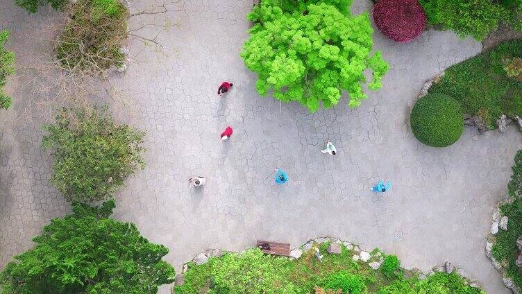 航拍在城市公园树下广场舞剑的人们