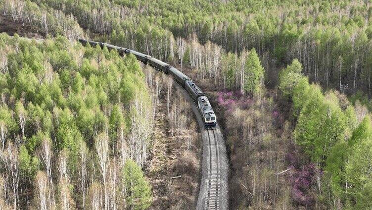 穿越大兴安岭森林的旅客列车