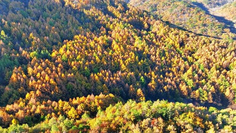 航拍色彩缤纷的辽宁千山秋景