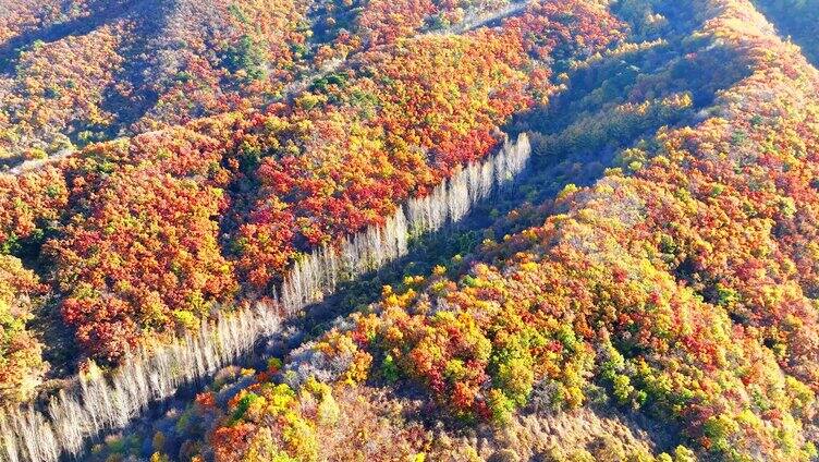 航拍色彩缤纷的辽宁千山秋景