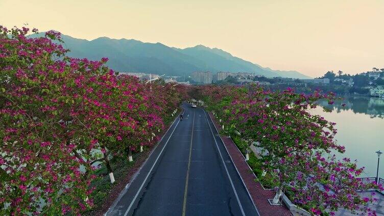 肇庆七星岩星湖西路