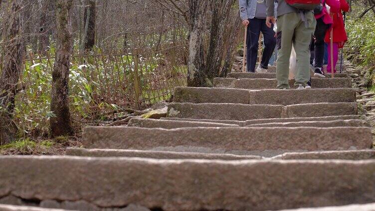 安徽黄山人山人海旅游旺季