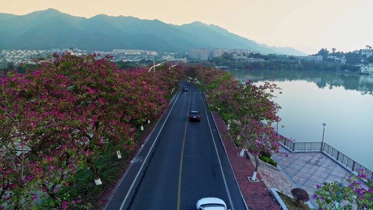 肇庆七星岩星湖西路