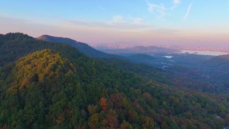 唯美杭州西湖龙井茶文化景区航拍茶园地茶叶