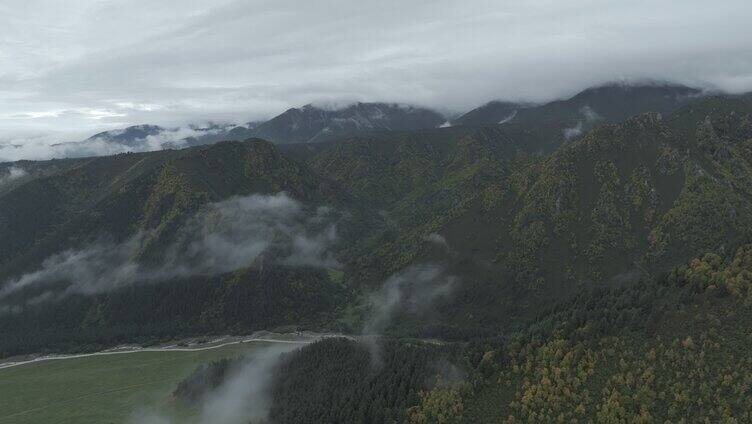 祁连山国家公园 冰沟河景区 云雾 仙境 