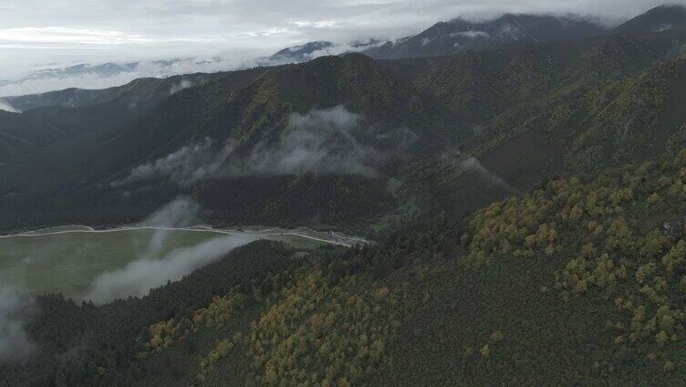 祁连山国家公园 冰沟河景区 云雾 仙境 