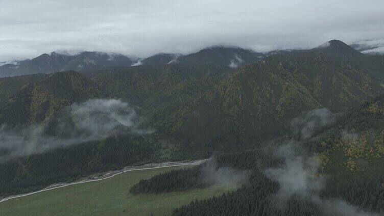 祁连山国家公园 冰沟河景区 云雾 仙境 