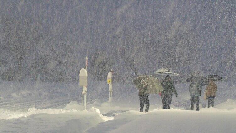 雪景 冬季  生活 