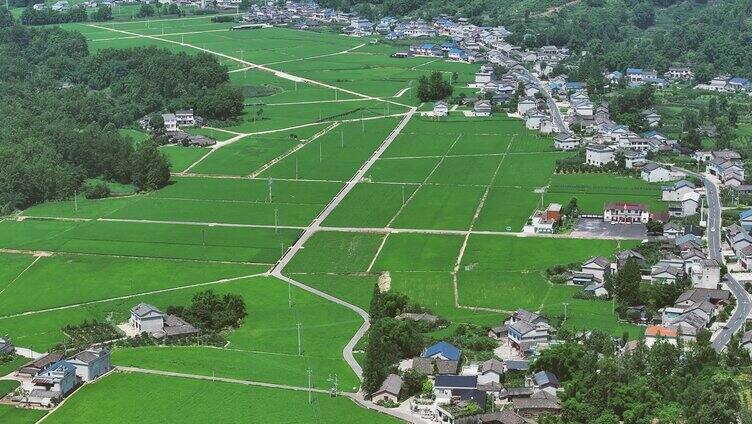 眉山丹棱县张场镇美丽乡村稻田航拍