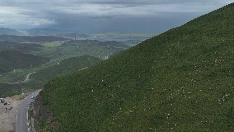 青海达坂山高山草原风光