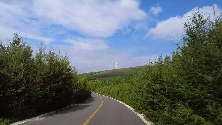 行车视角开车行驶在夏日林海间公路