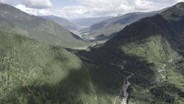 西藏林芝原始森林峡谷