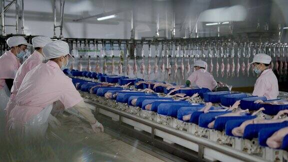 鸭子屠宰场现代化屠宰禽类加工生产