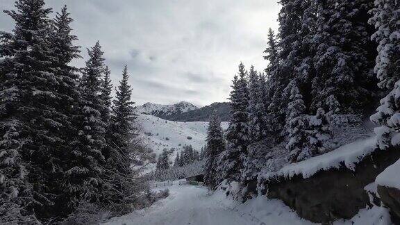 雪道穿过冬季的山林