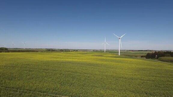 风力涡轮机和油菜籽田