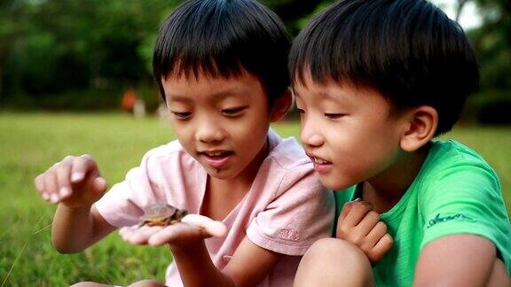 男孩和乌龟