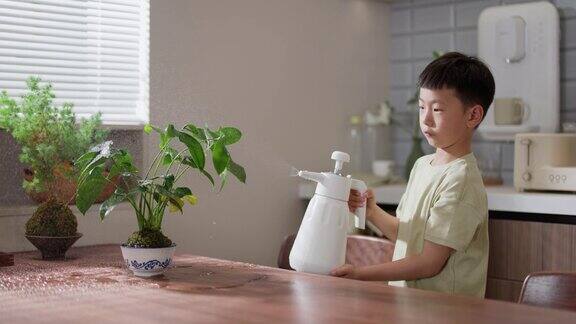 一个亚洲小男孩正在厨房里浇花