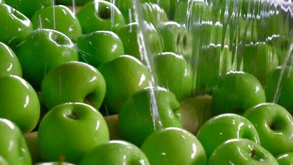 苹果的工业化种植、加工与贮藏