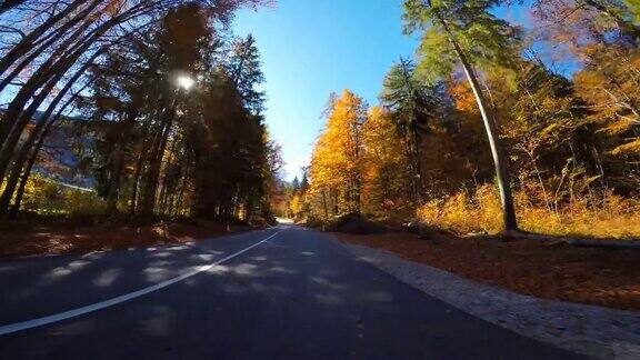 驾车在风景优美的道路上穿过秋天的森林