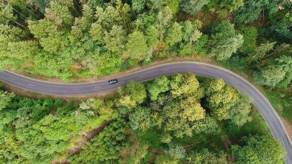 穿过森林的道路跟踪拍摄鸟瞰图