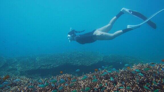 年轻女性在富饶美丽的珊瑚礁周围浮潜