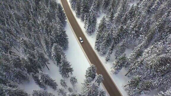 在冬天沿着森林道路行驶的汽车