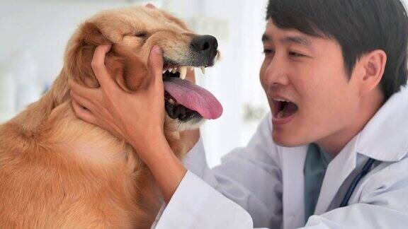 亚洲职业男子兽医检查狗和抚摸狗在兽医诊所采购产品兽医关系人保健和医学宠物爱